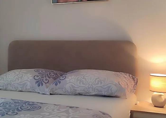 Rubin20 * دوبوي